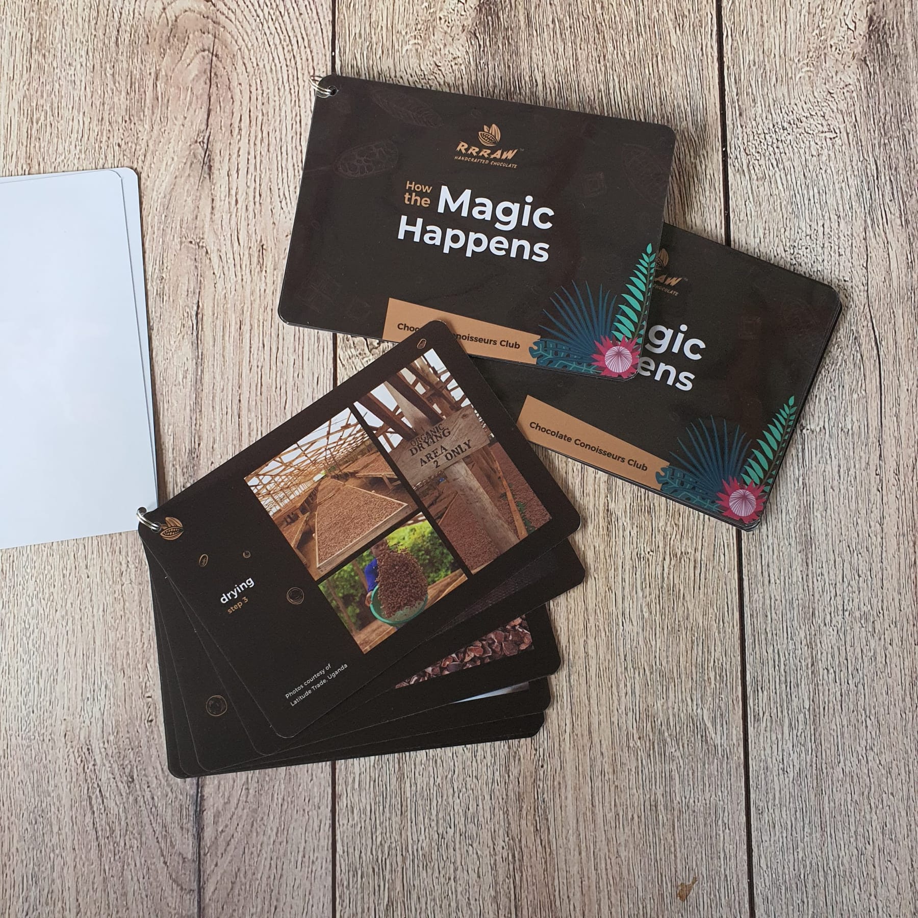 Branding + Stationery 12